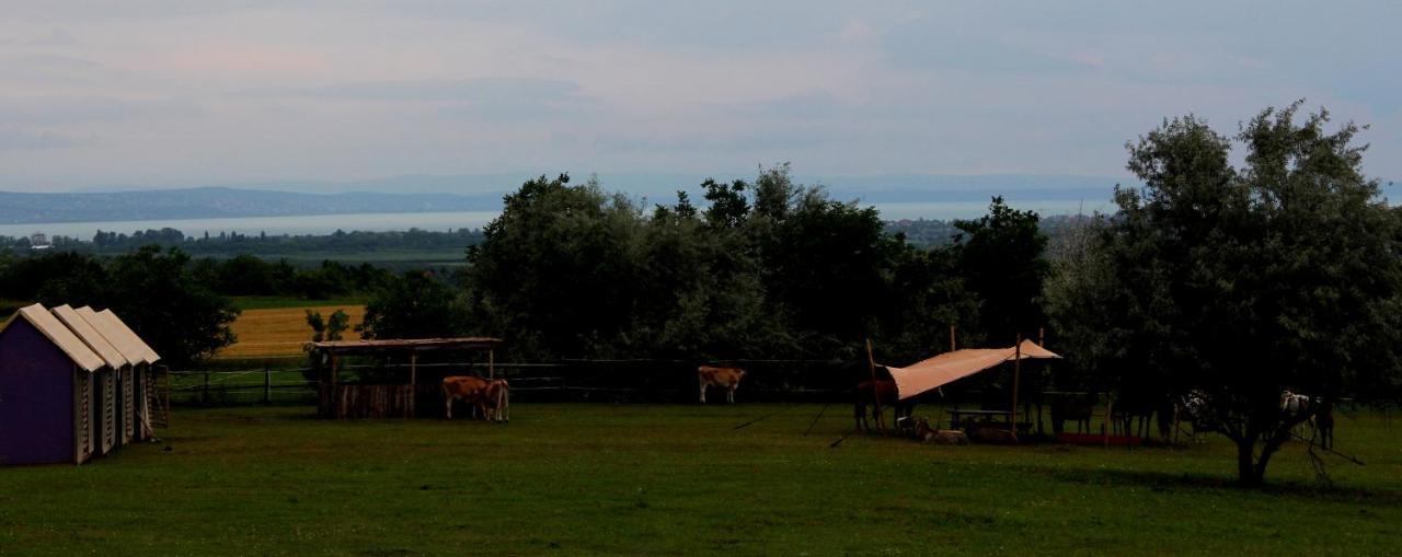 Dharma Horse Shelter Bungalows & Farmping Siófok Esterno foto
