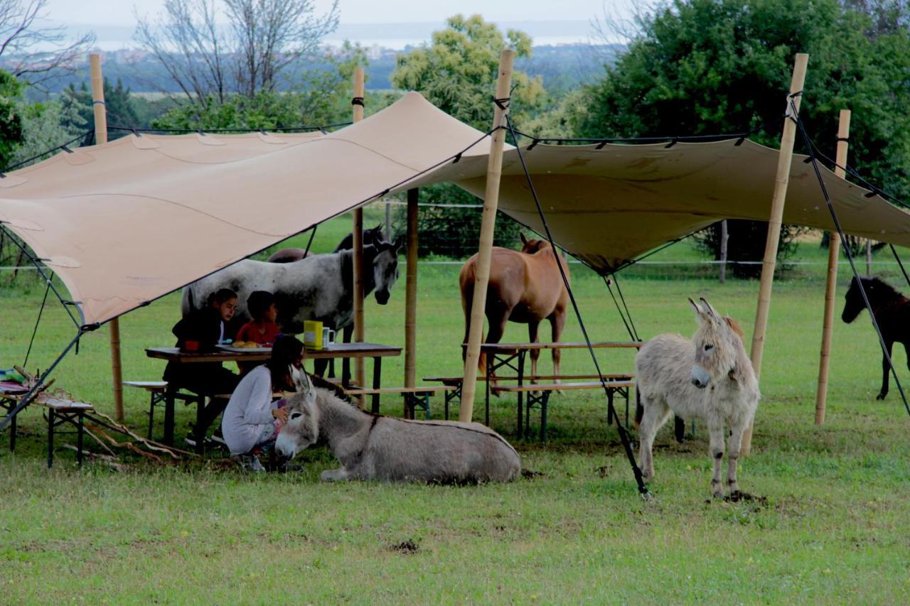 Dharma Horse Shelter Bungalows & Farmping Siófok Esterno foto