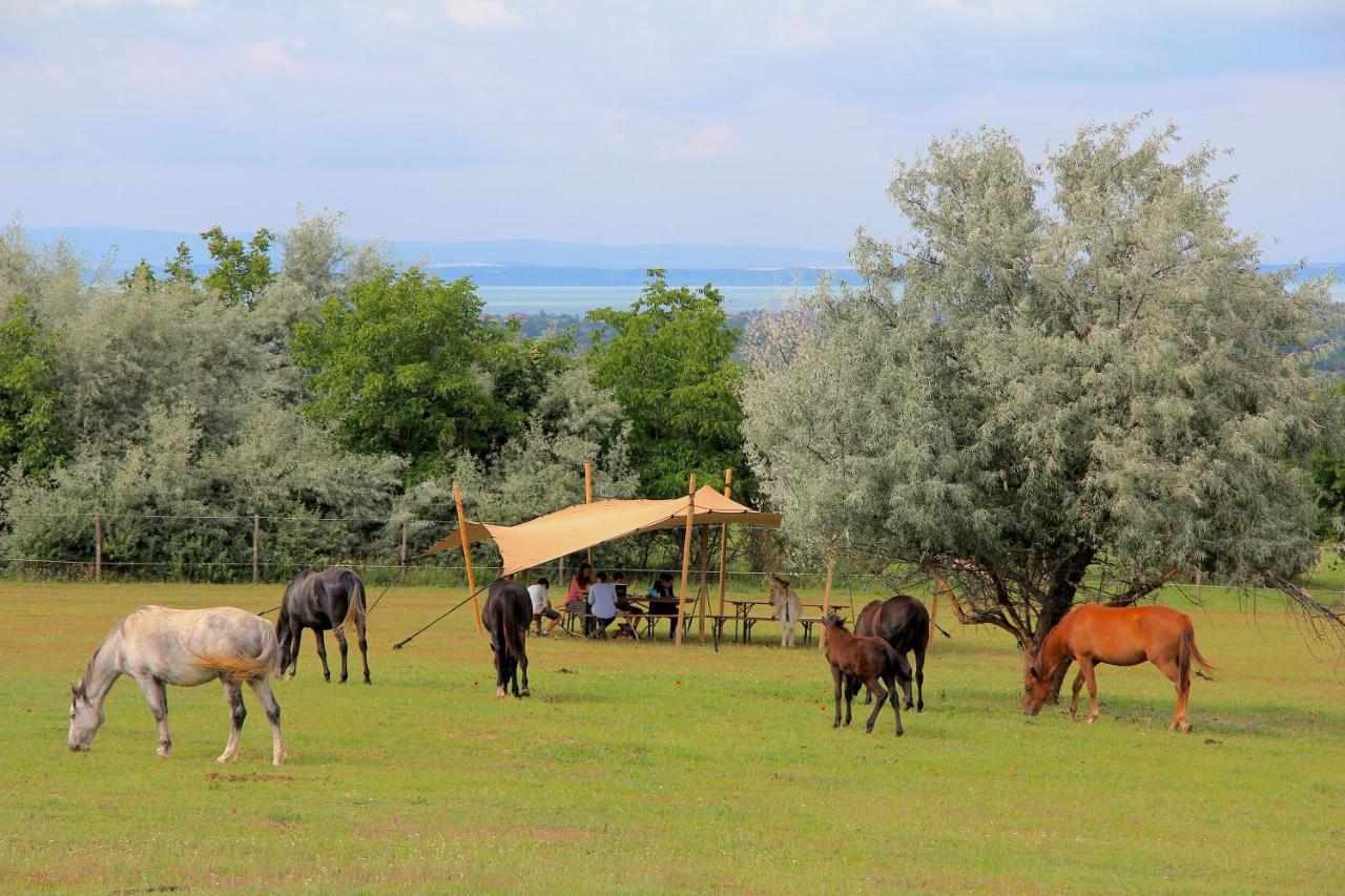 Dharma Horse Shelter Bungalows & Farmping Siófok Esterno foto