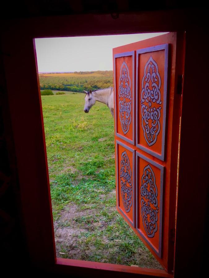 Dharma Horse Shelter Bungalows & Farmping Siófok Esterno foto